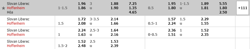 Tỷ lệ kèo trận đấu Liberec vs Hoffenheim